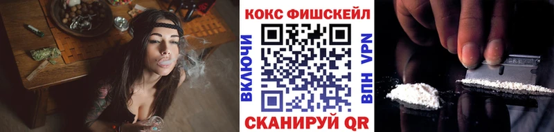 Cocaine FishScale  сколько стоит  Вязники 