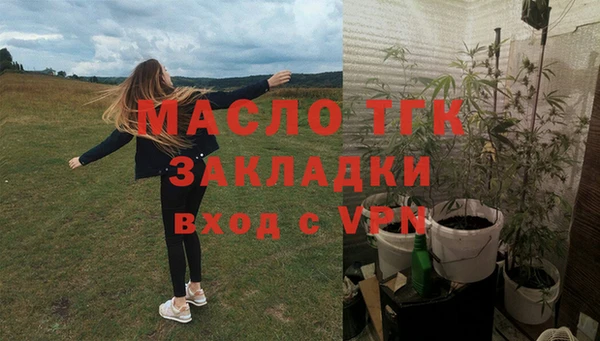 шишки Володарск