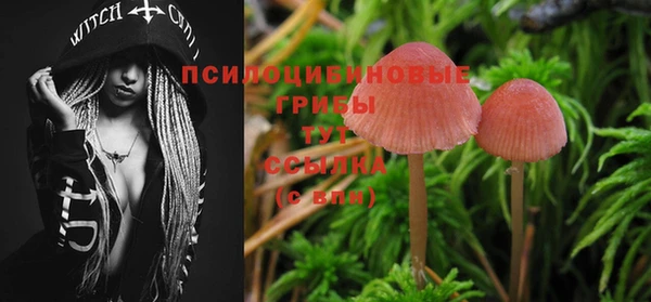 ГАЛЛЮЦИНОГЕННЫЕ ГРИБЫ Верхнеуральск