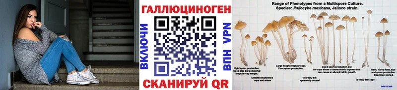 гидра рабочий сайт  мориарти как зайти  Псилоцибиновые грибы прущие грибы  Вязники 